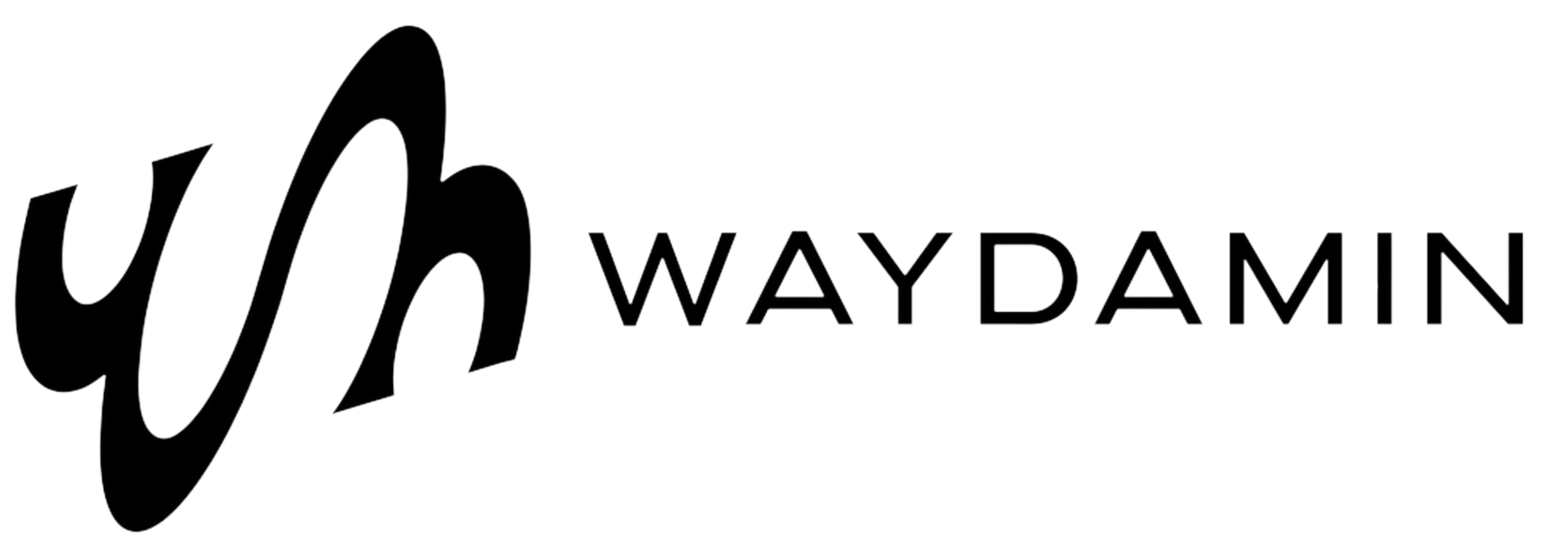 WAYDAMIN logo