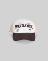 WM COLLECTOR'S TRUCKER thumbnail 2