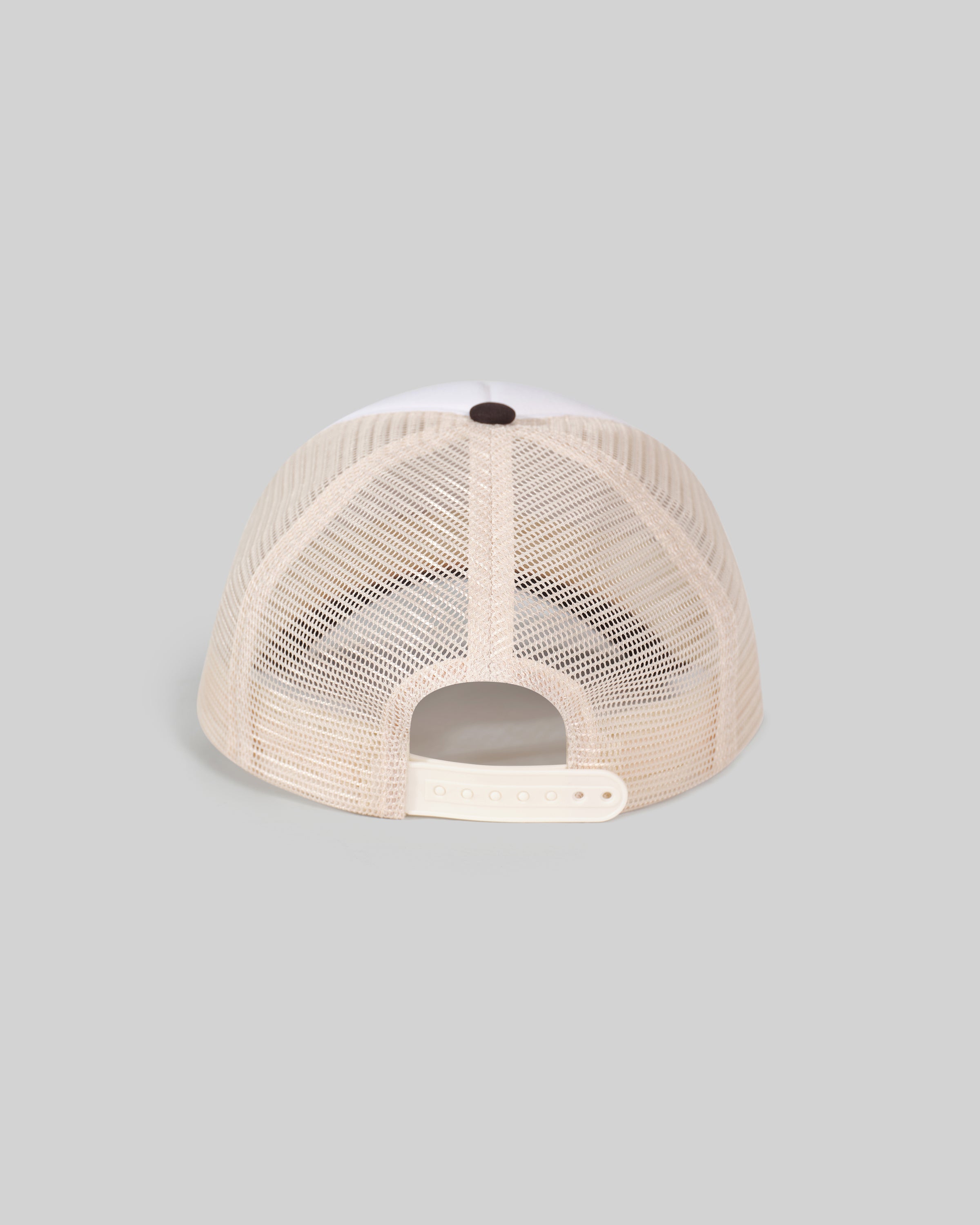 WM COLLECTOR'S TRUCKER